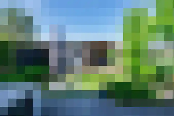Dotterbloem 13 Streefkerk thumbnail 24