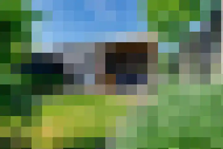 Dotterbloem 13 Streefkerk thumbnail 26