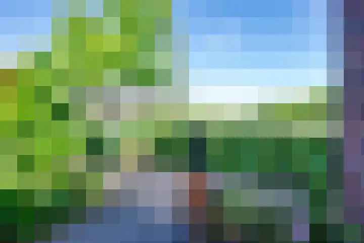 Dotterbloem 13 Streefkerk thumbnail 29