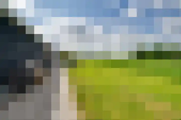 Dotterbloem 13 Streefkerk thumbnail 30