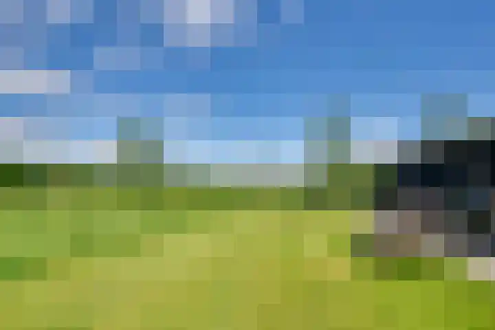Dotterbloem 13 Streefkerk thumbnail 31