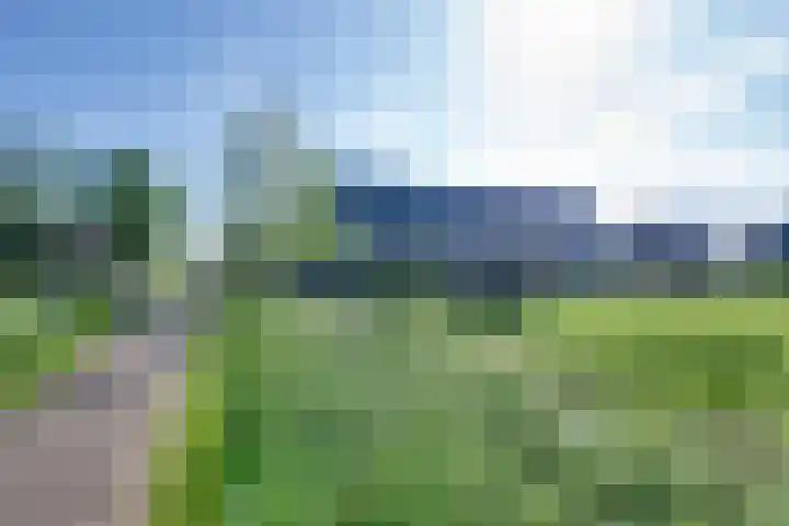 Dotterbloem 13 Streefkerk thumbnail 33