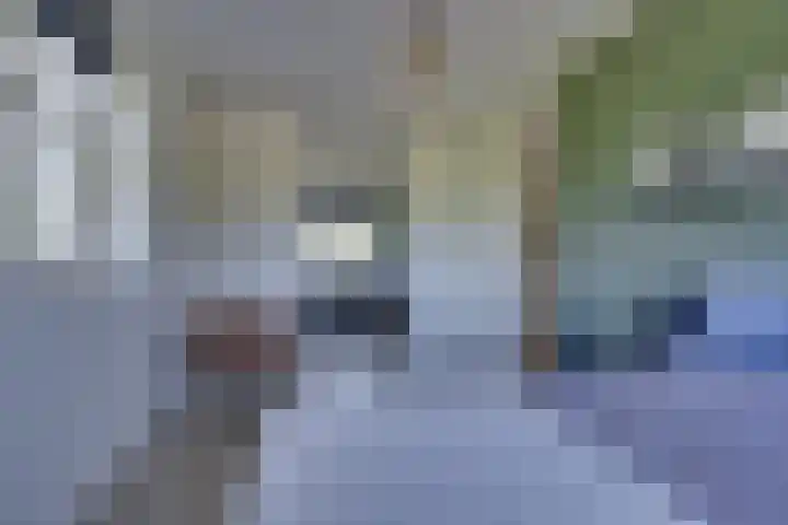 Dotterbloem 13 Streefkerk thumbnail 37
