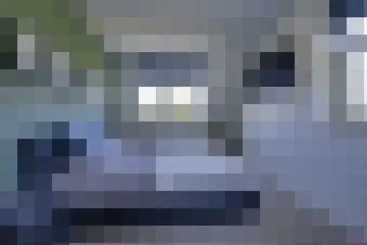 Dotterbloem 13 Streefkerk thumbnail 4