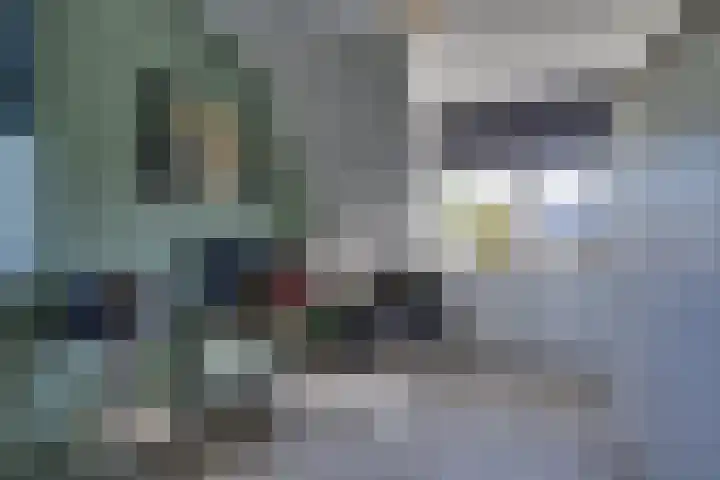 Dotterbloem 13 Streefkerk thumbnail 40