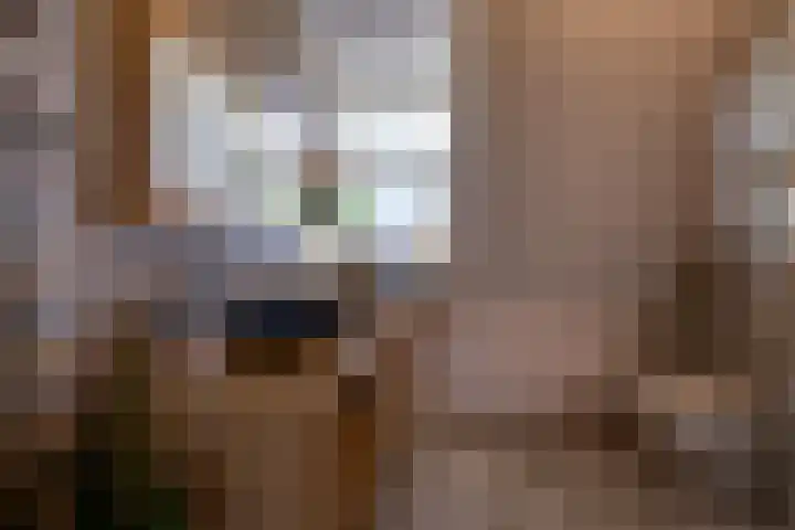 Dotterbloem 13 Streefkerk thumbnail 43
