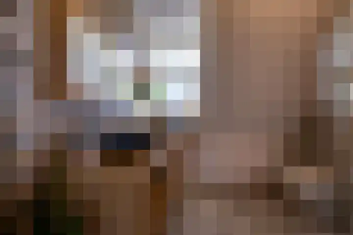 Dotterbloem 13 Streefkerk thumbnail 5