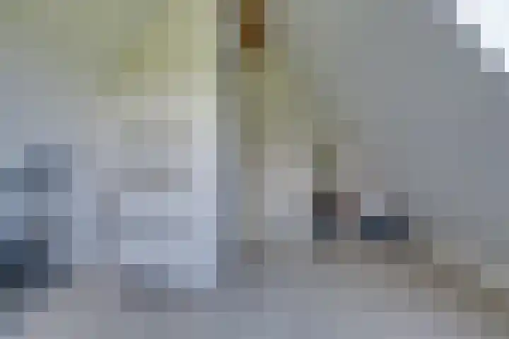 Dotterbloem 13 Streefkerk thumbnail 50