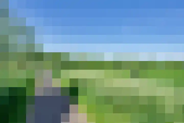 Dotterbloem 13 Streefkerk thumbnail 53