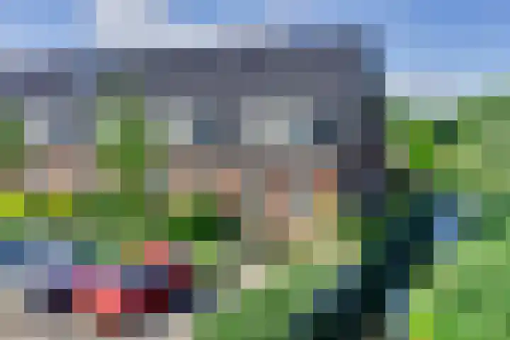 Dotterbloem 13 Streefkerk thumbnail 55