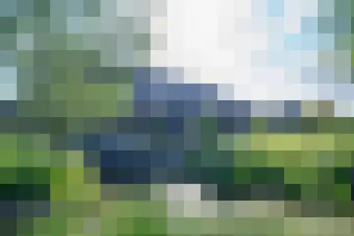 Dotterbloem 13 Streefkerk thumbnail 6