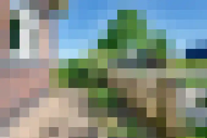 Dotterbloem 13 Streefkerk thumbnail 7