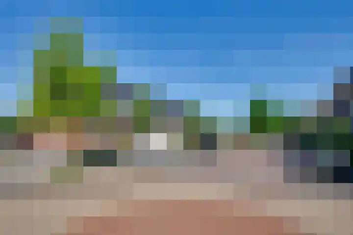 Dotterbloem 13 Streefkerk thumbnail 8