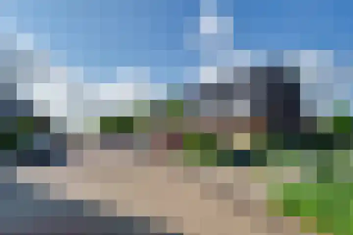 Dotterbloem 13 Streefkerk thumbnail 9