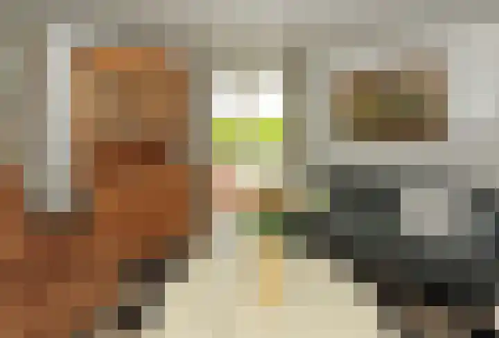 Dotterbloem 13 Wilnis thumbnail 10