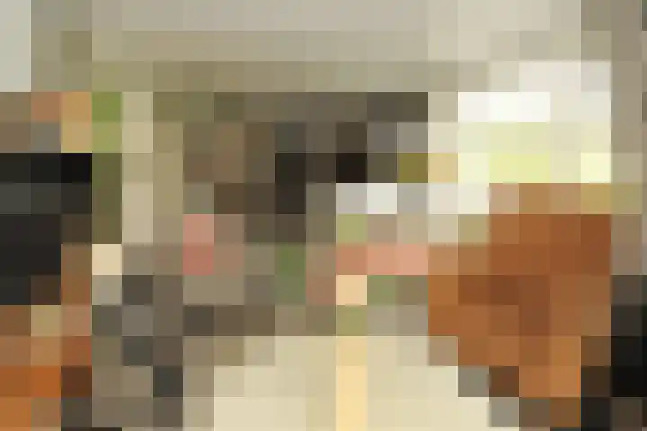 Dotterbloem 13 Wilnis thumbnail 11