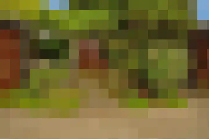 Dotterbloem 13 Wilnis thumbnail 19