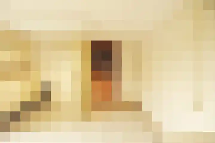 Dotterbloem 13 Wilnis thumbnail 22