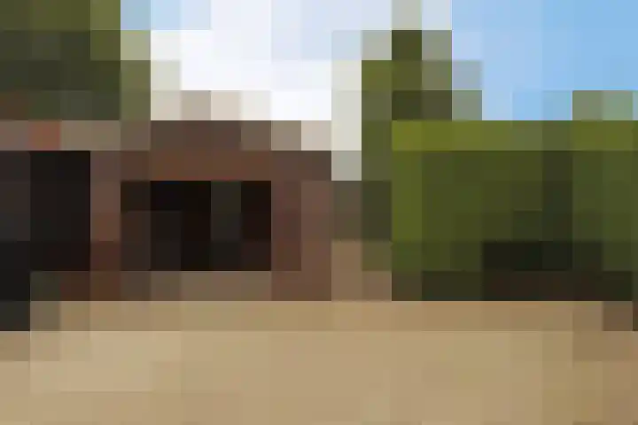 Dotterbloem 13 Wilnis thumbnail 24