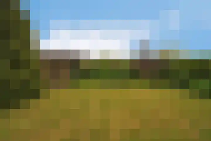 Dotterbloem 13 Wilnis thumbnail 25