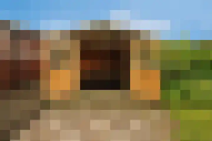 Dotterbloem 13 Wilnis thumbnail 26