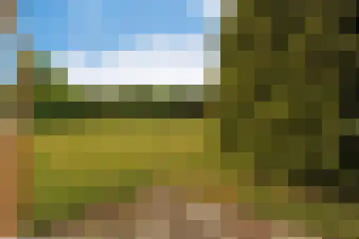 Dotterbloem 13 Wilnis thumbnail 27