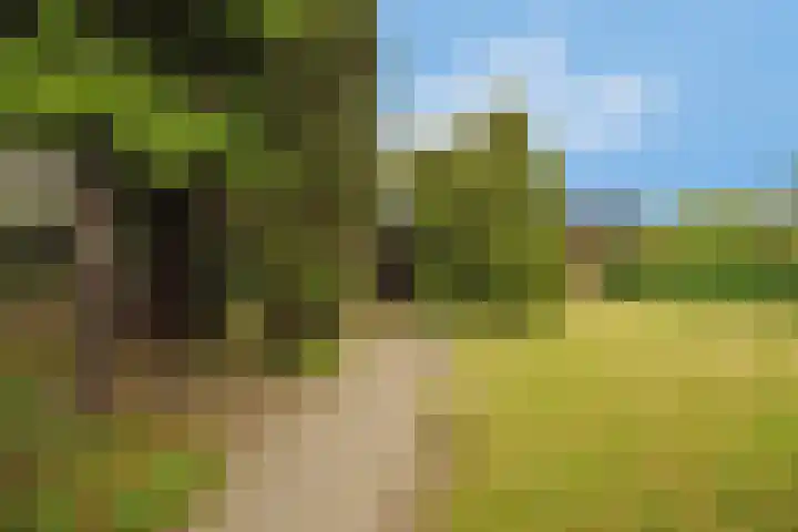 Dotterbloem 13 Wilnis thumbnail 29