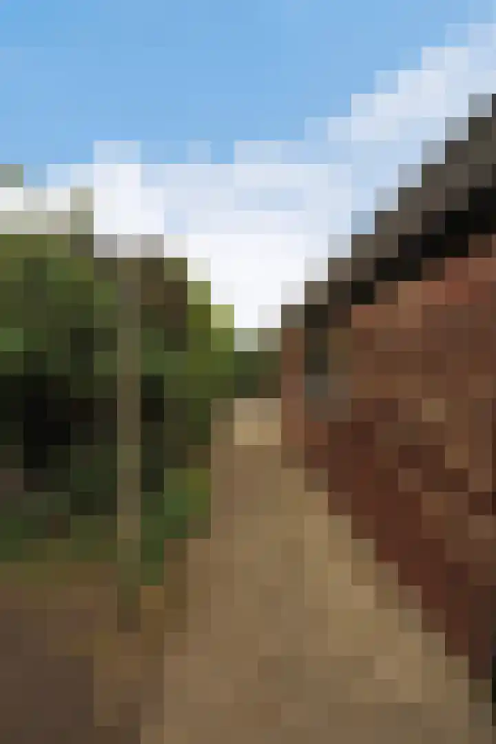 Dotterbloem 13 Wilnis thumbnail 30
