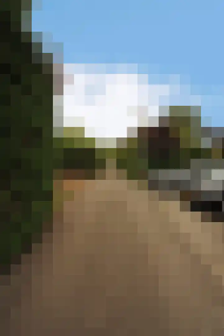 Dotterbloem 13 Wilnis thumbnail 31