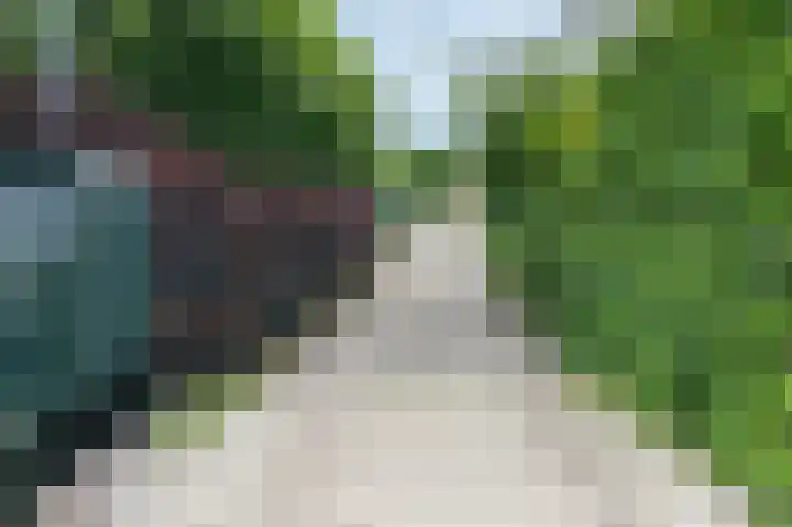 Dotterbloem 13 Wilnis thumbnail 32
