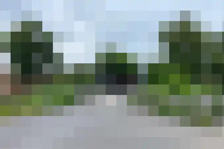 Dotterbloem 13 Wilnis thumbnail 33