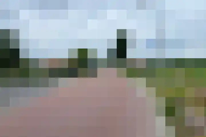 Dotterbloem 13 Wilnis thumbnail 34