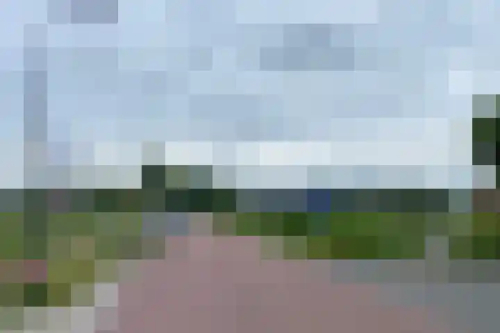 Dotterbloem 13 Wilnis thumbnail 35