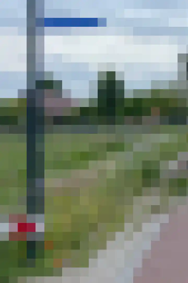 Dotterbloem 13 Wilnis thumbnail 36