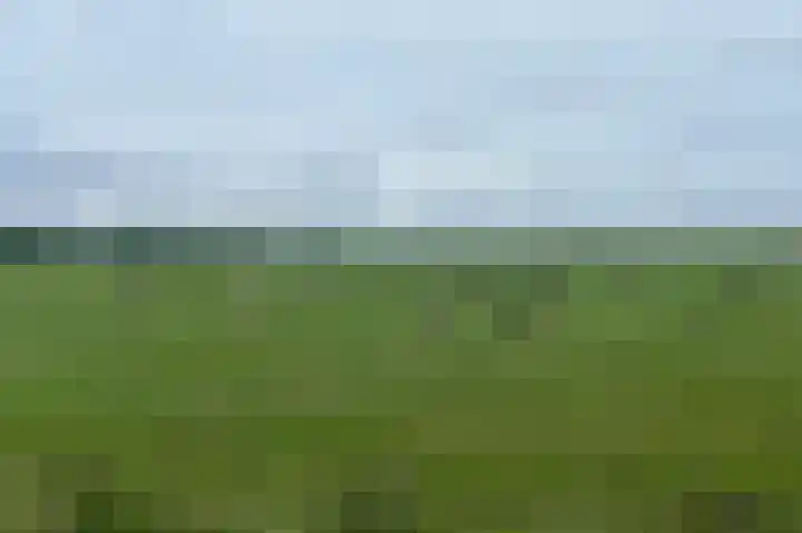 Dotterbloem 13 Wilnis thumbnail 37