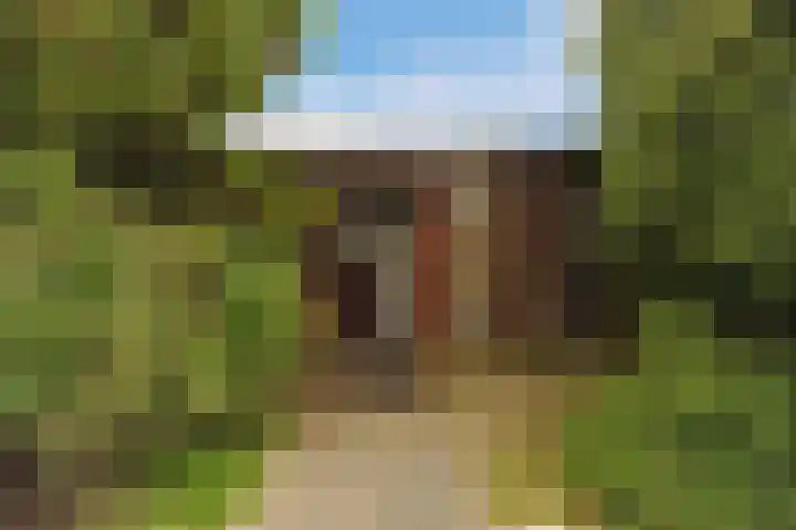 Dotterbloem 13 Wilnis thumbnail 4