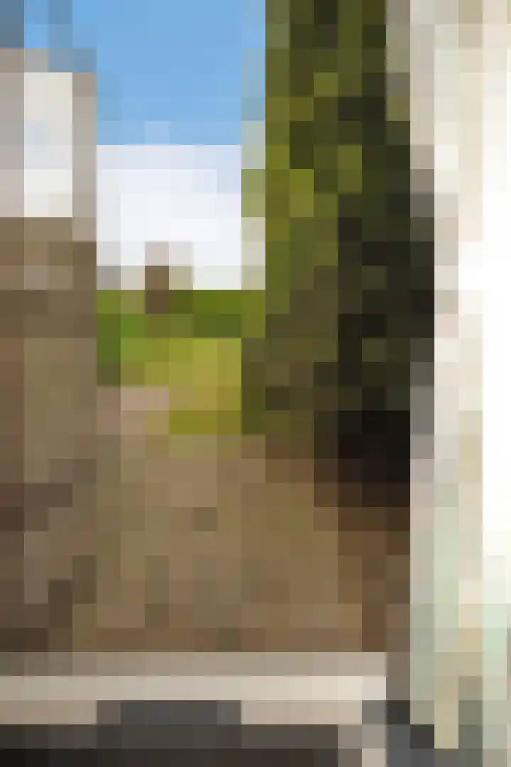 Dotterbloem 13 Wilnis thumbnail 5