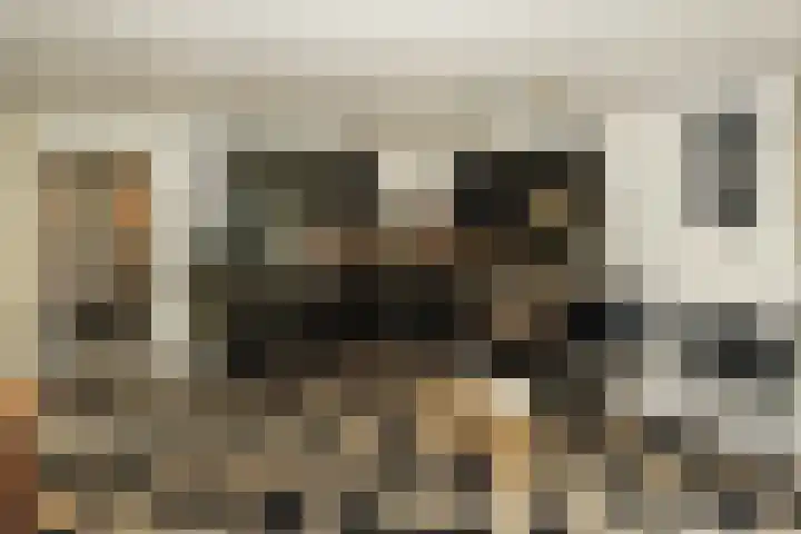 Dotterbloem 13 Wilnis thumbnail 6