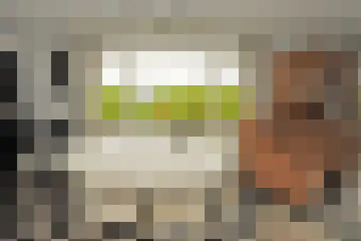 Dotterbloem 13 Wilnis thumbnail 8