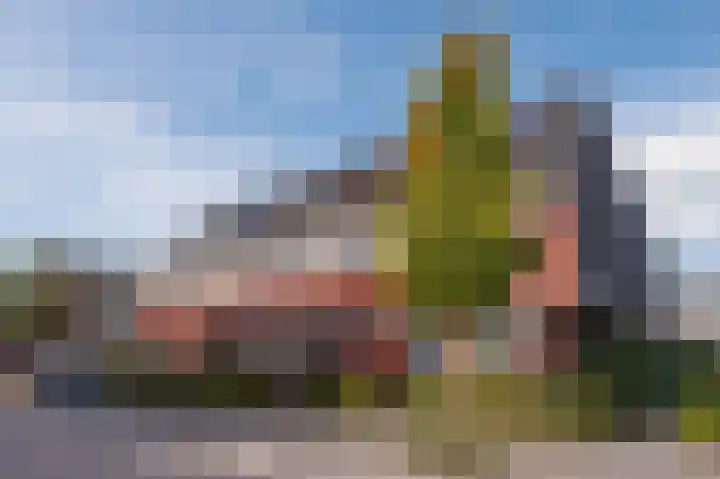 Dotterbloem 14 in Bodegraven