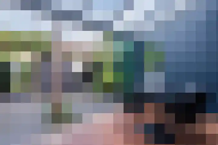 Dotterbloem 14 Bodegraven thumbnail 46