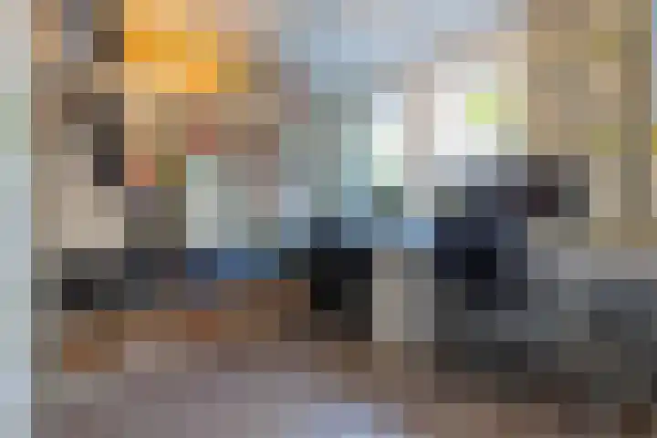Dotterbloem 14 Oude Wetering thumbnail 10