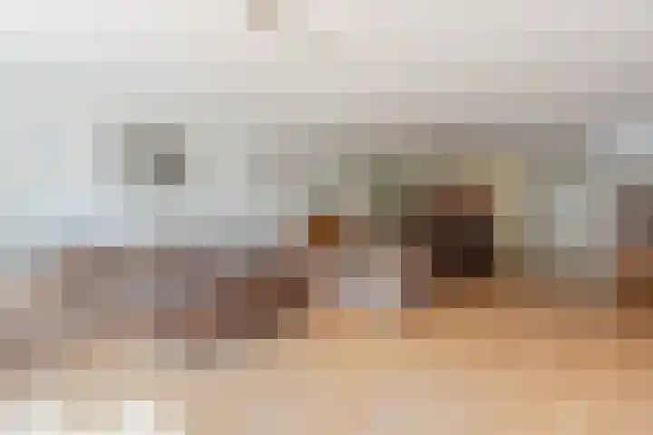 Dotterbloem 14 Oude Wetering thumbnail 17