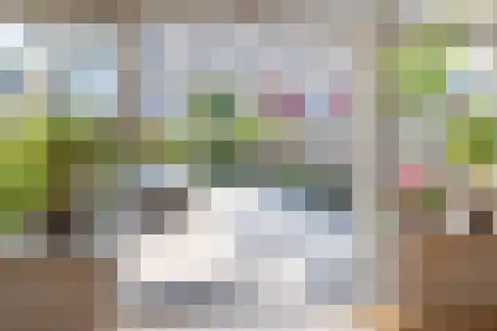 Dotterbloem 14 Oude Wetering thumbnail 19