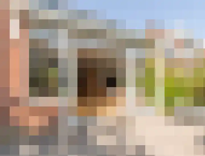 Dotterbloem 14 Oude Wetering thumbnail 21