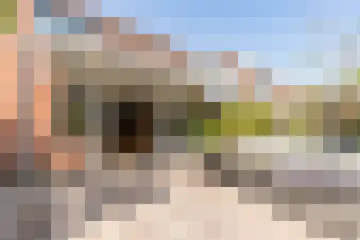 Dotterbloem 14 Oude Wetering thumbnail 23