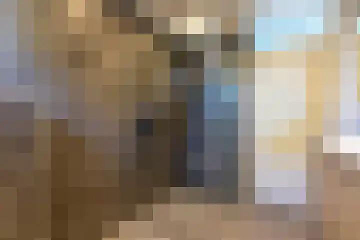 Dotterbloem 14 Oude Wetering thumbnail 32