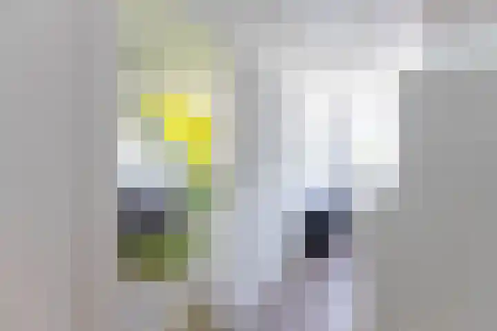 Dotterbloem 14 Oude Wetering thumbnail 33