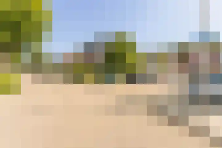 Dotterbloem 14 Oude Wetering thumbnail 39