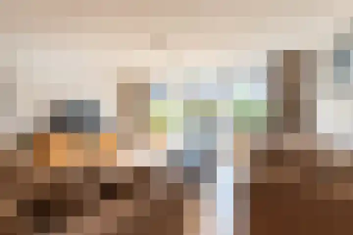 Dotterbloem 14 Oude Wetering thumbnail 4